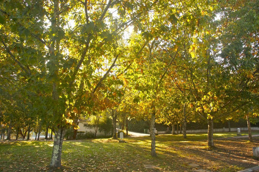 Gois Camping Zewnętrze zdjęcie